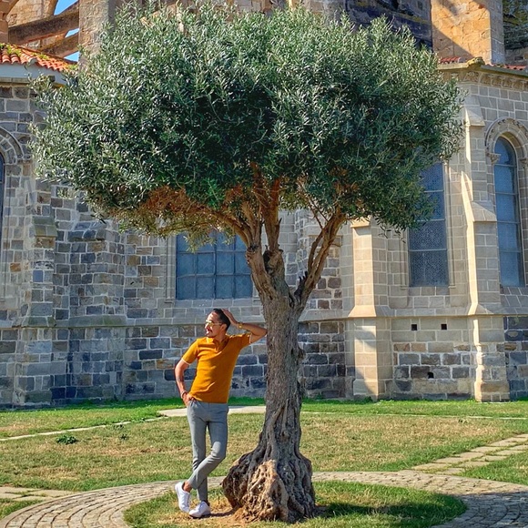 Meet your Posher, Fernando - Picture 1 of 8